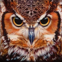 Laden Sie das Bild in den Galerie-Viewer, Diamond Painting, Eulen Porträt