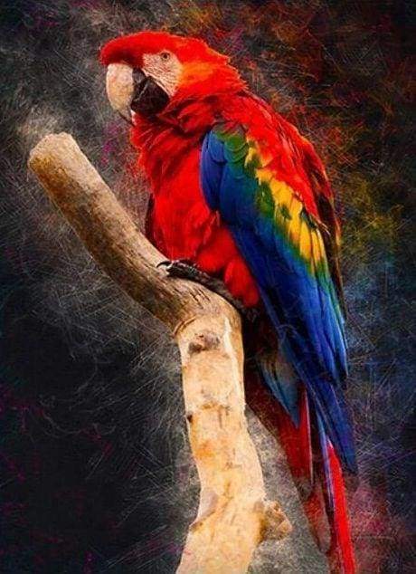 Diamond Painting, Roter Papagei