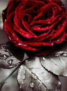 Diamond Painting, Rote Rose