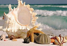 Laden Sie das Bild in den Galerie-Viewer, Diamond Painting, Muscheln entlang des Wassers