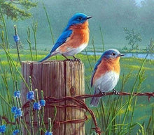Laden Sie das Bild in den Galerie-Viewer, Diamond Painting, Kleine Vögel