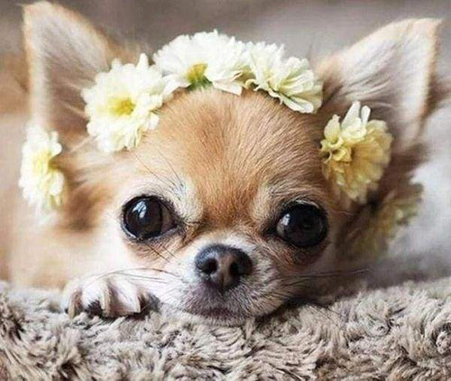 Diamond Painting, Kleiner Hund und Blumen