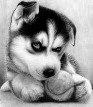 Laden Sie das Bild in den Galerie-Viewer, Diamond Painting, Kleiner Husky mit Tennisball