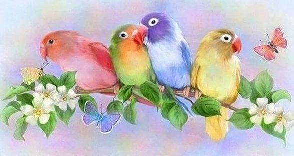 Diamond Painting, Kleine Sittiche