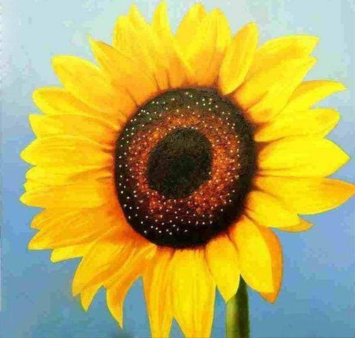 Diamond Painting, Sonnenblume