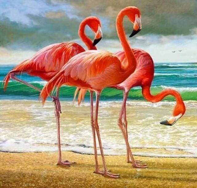Diamond Painting, Drei Flamingos