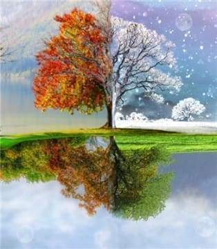 Diamond Painting, Baum Multi Jahreszeiten
