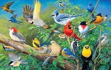 Laden Sie das Bild in den Galerie-Viewer, Diamond Painting, Tropische Vögel