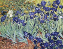 Laden Sie das Bild in den Galerie-Viewer, Diamond Painting, Van Gogh – Schwertlilien