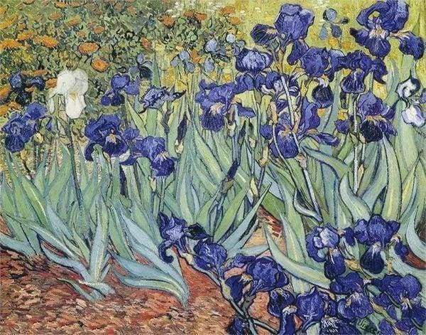 Diamond Painting, Van Gogh – Schwertlilien