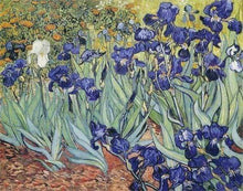 Laden Sie das Bild in den Galerie-Viewer, Diamond Painting, Van Gogh – Blumen