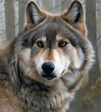 Laden Sie das Bild in den Galerie-Viewer, Diamond Painting, Wolf Porträt