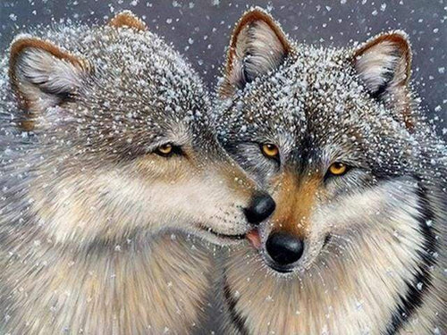 Diamond Painting, Wölfe unter dem Schnee
