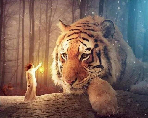 Diamond Painting, Frau und Tiger
