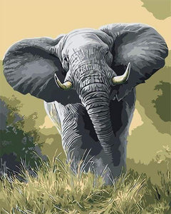 Malen nach Zahlen fŸr Erwachsene |ÊAfrikanischer Elefant | Figured'Art