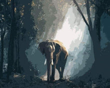 Laden Sie das Bild in den Galerie-Viewer, Malen nach Zahlen fŸr Erwachsene |ÊElefant im dunklen Wald | Figured&#39;Art