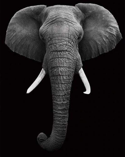 Malen nach Zahlen fŸr Erwachsene |ÊElephant in grau und schwarz | Figured'Art