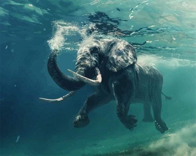 Malen nach Zahlen fŸr Erwachsene |ÊSchwimmender Elefant im Wasser | Figured'Art