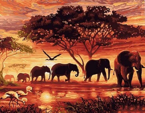 Malen nach Zahlen fŸr Erwachsene |ÊElefanten bei Sonnenuntergang | Figured'Art