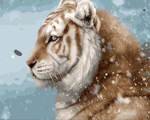 Malen nach Zahlen fŸr Erwachsene |ÊMit Blick auf den Schnee | Figured'Art
