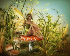 Malen nach Zahlen – Fee und Pilze