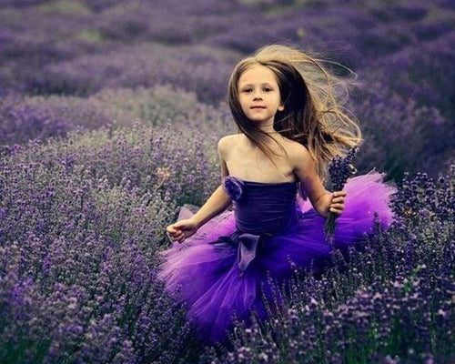 Malen nach Zahlen fŸr Erwachsene |ÊMädchen im Lavendelfeld | Figured'Art