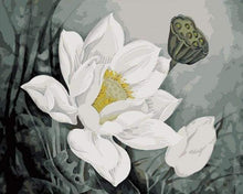 Laden Sie das Bild in den Galerie-Viewer, Malen nach Zahlen fŸr Erwachsene |ÊWeisse Lotusblume | Figured&#39;Art