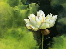 Laden Sie das Bild in den Galerie-Viewer, Malen nach Zahlen fŸr Erwachsene |ÊLotosblume | Figured&#39;Art