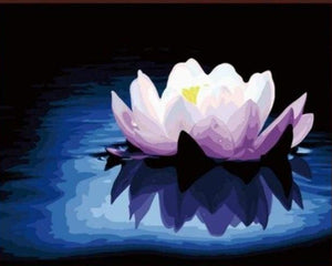 Lotusblume und Gelassenheit