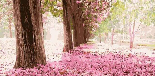Malen nach Zahlen Erwachsene Kirschblüten Figured'Art