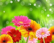 Laden Sie das Bild in den Galerie-Viewer, Malen nach Zahlen fŸr Erwachsene |ÊFrühlingsblumen | Figured&#39;Art