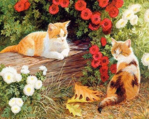 Malen nach Zahlen fŸr Erwachsene |ÊBlumen und Kätzchen | Figured'Art