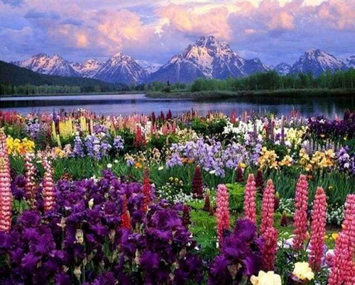 Malen nach Zahlen fŸr Erwachsene |ÊBlumen und See am Fuße des Berges | Figured'Art