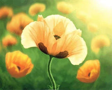 Laden Sie das Bild in den Galerie-Viewer, Malen nach Zahlen fŸr Erwachsene |ÊOrange Blüten | Figured&#39;Art