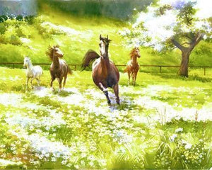 Malen nach Zahlen fŸr Erwachsene |ÊGaloppierende Pferde auf dem Land | Figured'Art