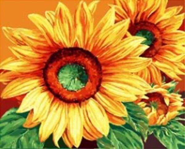 Malen nach Zahlen fŸr Erwachsene |ÊGroße Sonnenblumen | Figured'Art