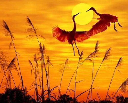 Malen nach Zahlen fŸr Erwachsene |ÊKraniche am Sonnenuntergang | Figured'Art