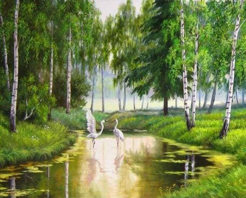 Malen nach Zahlen fŸr Erwachsene |ÊReiher im Wasser | Figured'Art