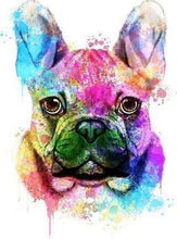 Laden Sie das Bild in den Galerie-Viewer, Malen nach Zahlen fŸr Erwachsene |ÊSchöner bunter Hund | Figured&#39;Art