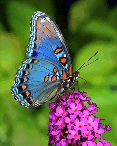 Malen nach Zahlen fŸr Erwachsene |ÊSchmetterling auf der Blume | Figured'Art