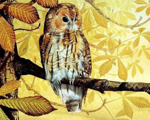 Malen nach Zahlen fŸr Erwachsene |ÊHübsche Eule und goldene Landschaft | Figured'Art