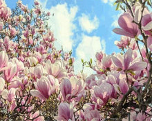 Laden Sie das Bild in den Galerie-Viewer, Malen nach Zahlen fŸr Erwachsene |ÊSchöne blühende Magnolias | Figured&#39;Art