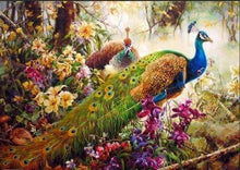 Laden Sie das Bild in den Galerie-Viewer, Malen nach Zahlen fŸr Erwachsene |ÊSchöne Pfauen | Figured&#39;Art