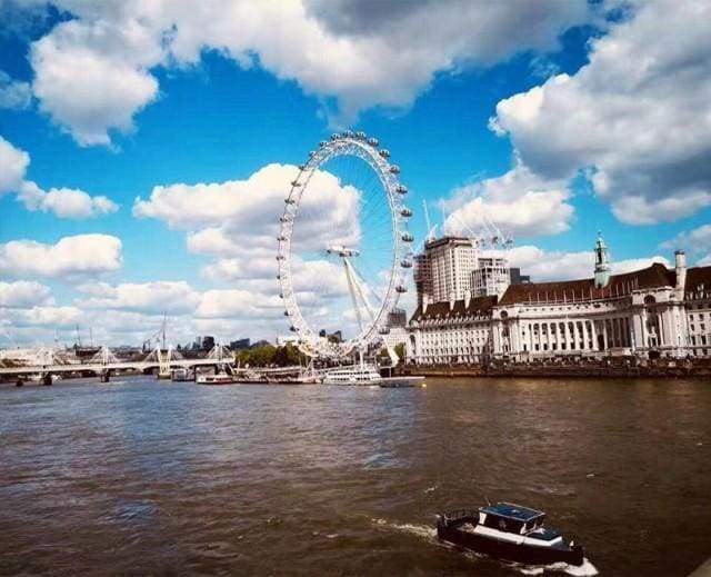 Malen nach Zahlen fŸr Erwachsene |ÊDas Riesenrad London | Figured'Art