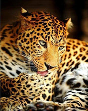 Laden Sie das Bild in den Galerie-Viewer, Malen nach Zahlen Erwachsene Leopard Figured&#39;Art