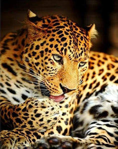 Malen nach Zahlen Erwachsene Leopard Figured'Art