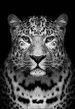 Laden Sie das Bild in den Galerie-Viewer, Malen nach Zahlen fŸr Erwachsene |ÊGrauer Leopard | Figured&#39;Art
