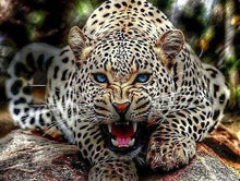 Laden Sie das Bild in den Galerie-Viewer, Malen nach Zahlen fŸr Erwachsene |ÊBedrohlicher Leopard | Figured&#39;Art