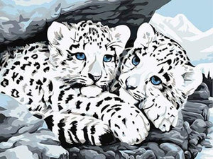 Malen nach Zahlen fŸr Erwachsene |ÊWeiße Leoparden | Figured'Art