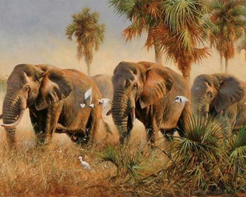 Malen nach Zahlen fŸr Erwachsene |ÊWilde Elefanten | Figured'Art